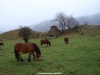 Las Morteras de Villarín (Somiedo)