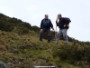 Alberto y Falo