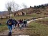 Collada Moande