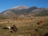 Campos de Lario y Peña Ten al fondo