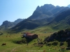 Praderias de vega La Casa lugar de gran tradición pastoril