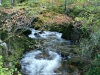 Río Nalón