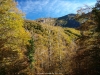 el otoño en el bosque de Fabucao