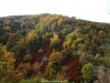 Mucho colorido en el monte