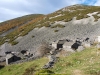 Braña el Pedroso