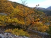 Otoño