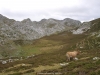 Vega de Socellares