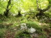 La Foix Cimera