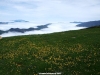 la niebla sobre el cordal de los Llanos