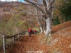 camino hermoso al pasar por Anciu