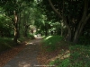Bosque de Reborio