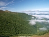 La niebla en los valles