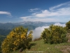 Otra panorámica con mucho colorido