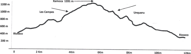 Perfil ruta 20150228