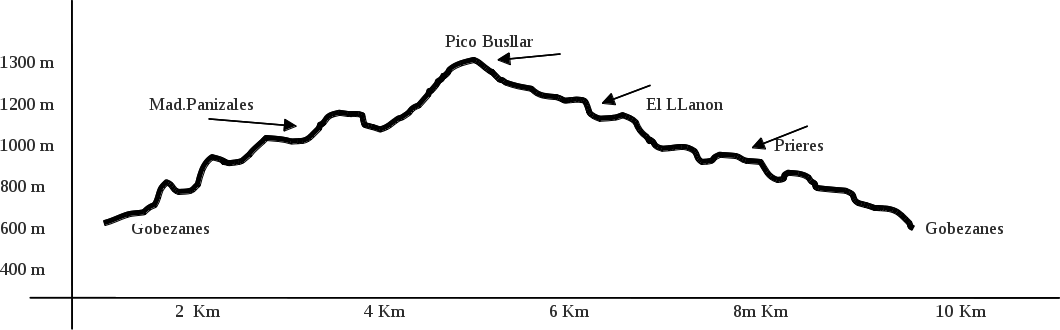 Perfil ruta 20150314