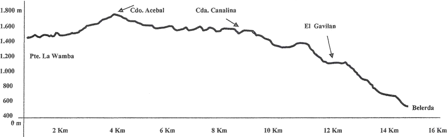 Perfil ruta 20150516